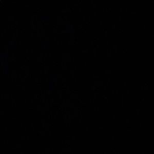 Meet your Posher, Dylan